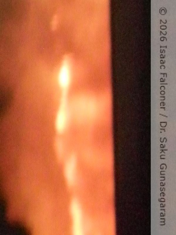 copyright 2026