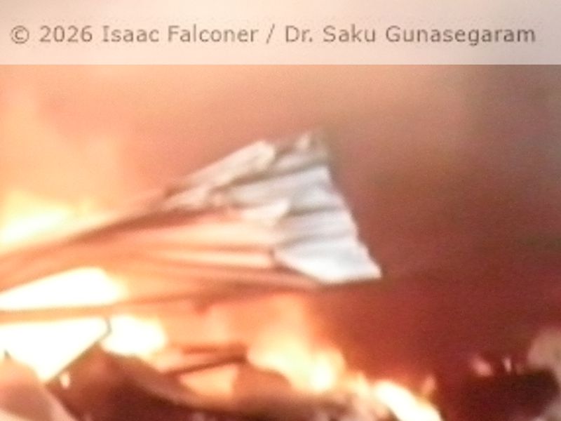copyright 2026