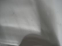 Copyright 2024
