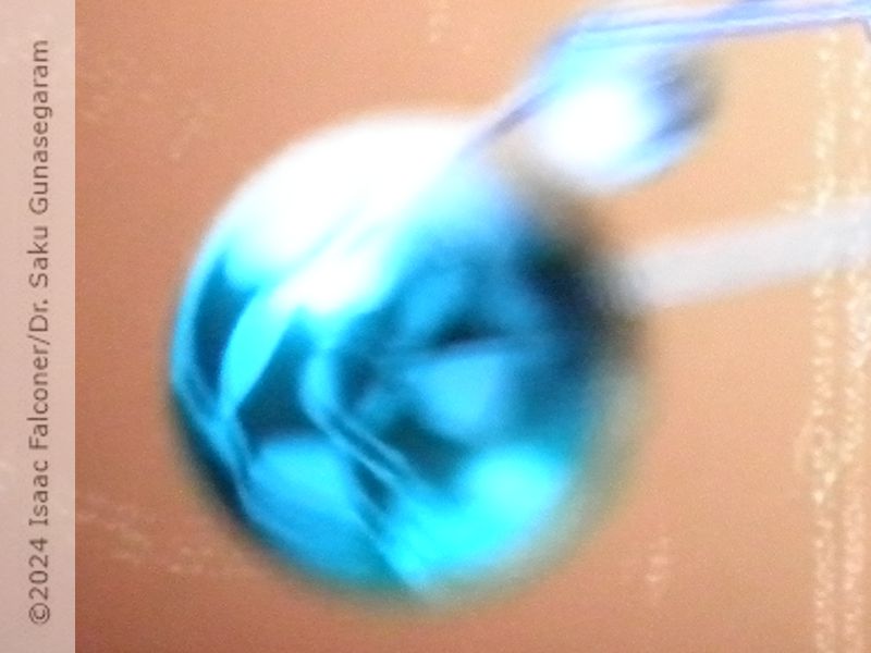 copyright 2024