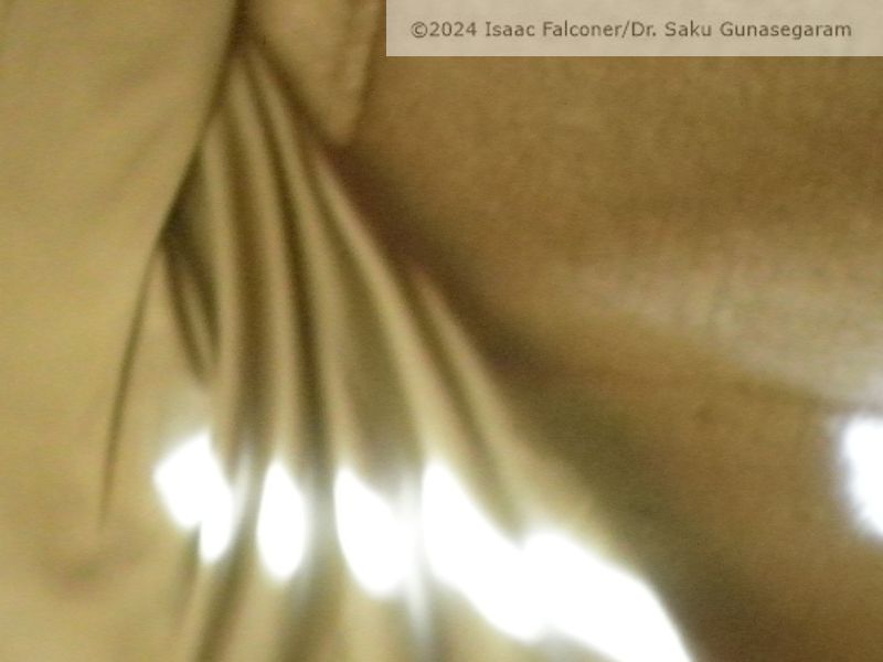 copyright 2024