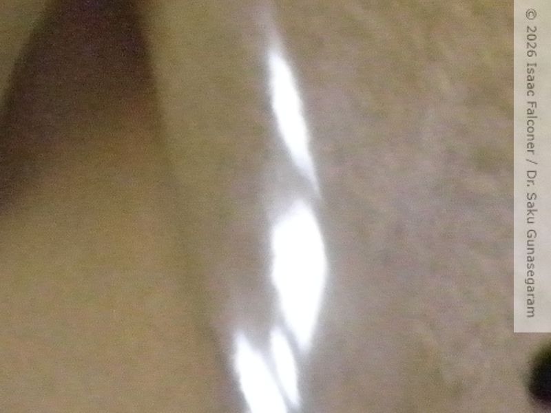 copyright 2026